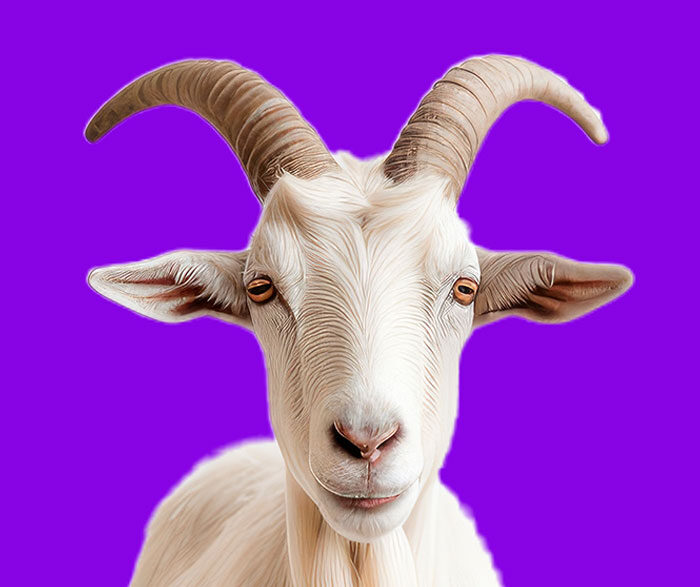 Caprino